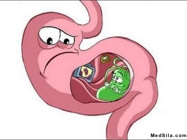 Схематическое изображение желудка